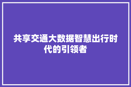 共享交通大数据智慧出行时代的引领者