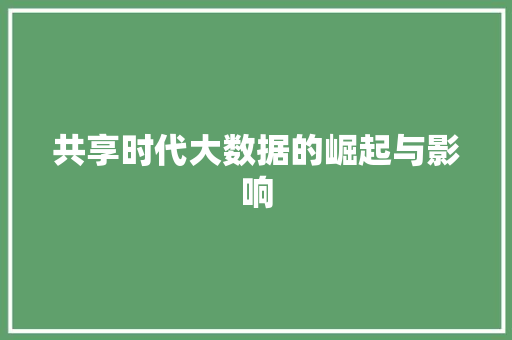 共享时代大数据的崛起与影响 编程语言