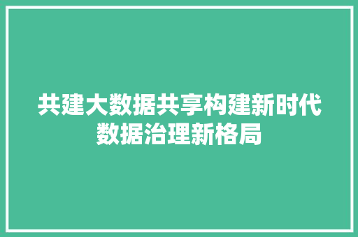 共建大数据共享构建新时代数据治理新格局 编程语言 共建大数据共享构建新时代数据治理新格局 编程语言