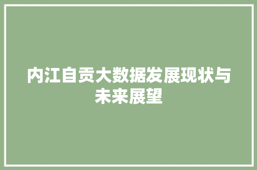 内江自贡大数据发展现状与未来展望 内江自贡大数据发展现状与未来展望