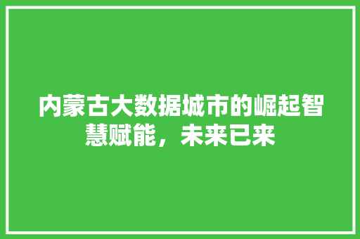 内蒙古大数据城市的崛起智慧赋能，未来已来