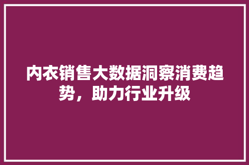 内衣销售大数据洞察消费趋势，助力行业升级