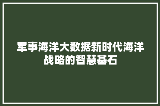 军事海洋大数据新时代海洋战略的智慧基石 电脑故障维修