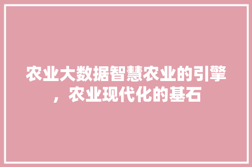农业大数据智慧农业的引擎，农业现代化的基石