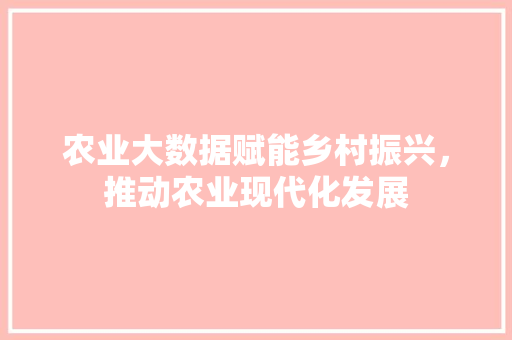 农业大数据赋能乡村振兴，推动农业现代化发展 编程语言