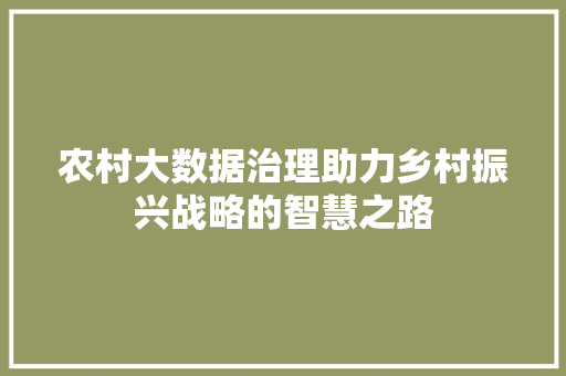 农村大数据治理助力乡村振兴战略的智慧之路 电脑配置 农村大数据治理助力乡村振兴战略的智慧之路 电脑配置