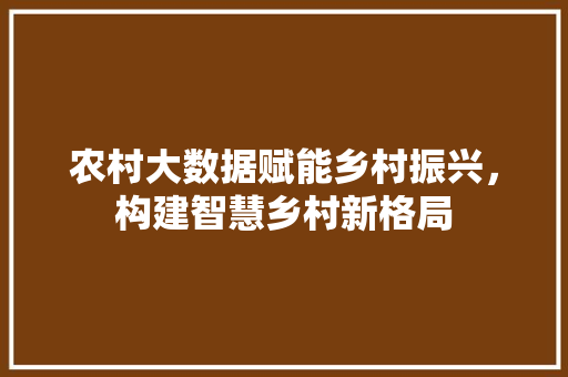 农村大数据赋能乡村振兴，构建智慧乡村新格局 电脑基础