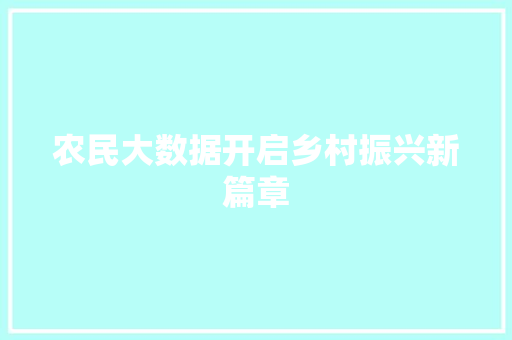 农民大数据开启乡村振兴新篇章 电脑基础