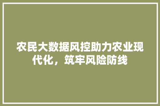 农民大数据风控助力农业现代化，筑牢风险防线 编程语言