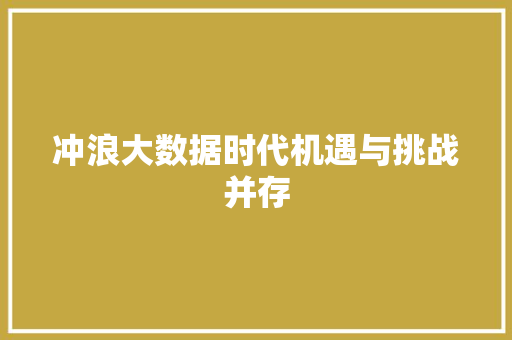 冲浪大数据时代机遇与挑战并存