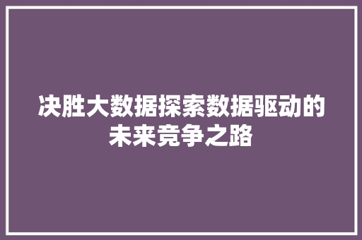 决胜大数据探索数据驱动的未来竞争之路