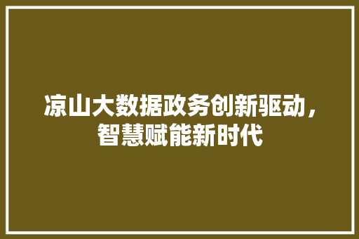 凉山大数据政务创新驱动，智慧赋能新时代
