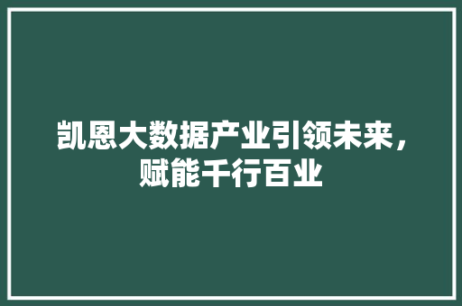 凯恩大数据产业引领未来，赋能千行百业