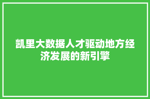 凯里大数据人才驱动地方经济发展的新引擎