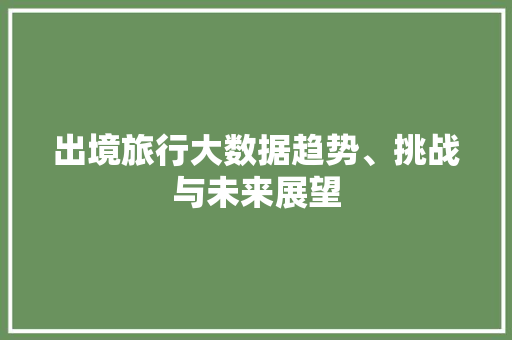 出境旅行大数据趋势、挑战与未来展望 电脑配置
