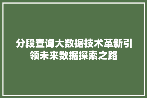 分段查询大数据技术革新引领未来数据探索之路