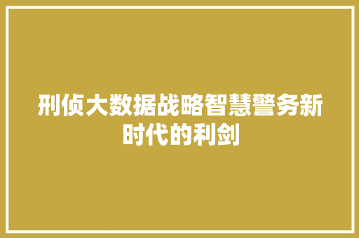 刑侦大数据战略智慧警务新时代的利剑