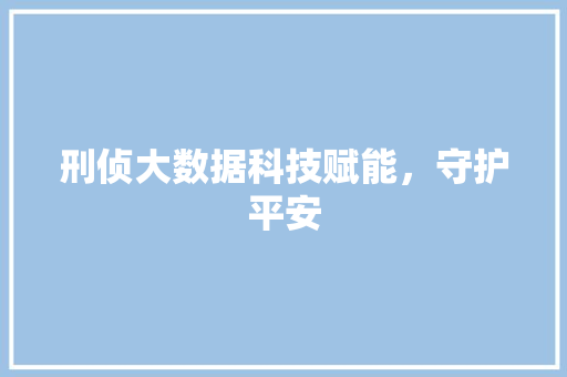 刑侦大数据科技赋能，守护平安