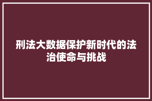刑法大数据保护新时代的法治使命与挑战 电脑配置