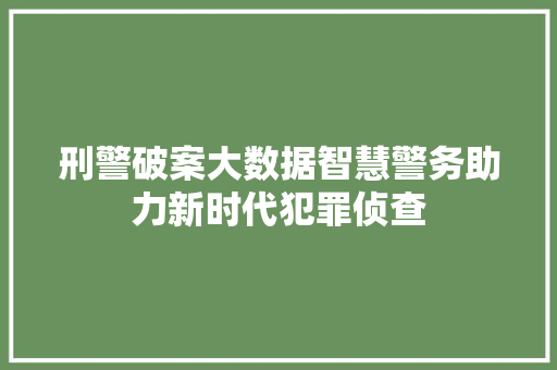 刑警破案大数据智慧警务助力新时代犯罪侦查 电脑基础