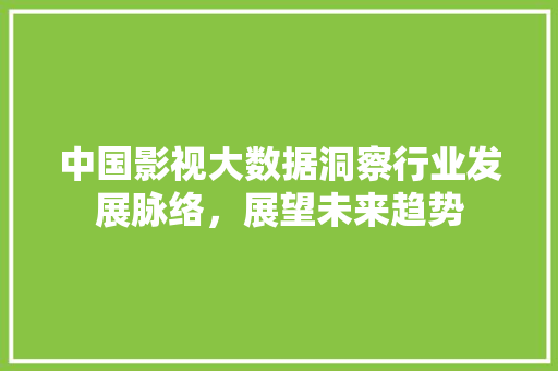 中国影视大数据洞察行业发展脉络，展望未来趋势