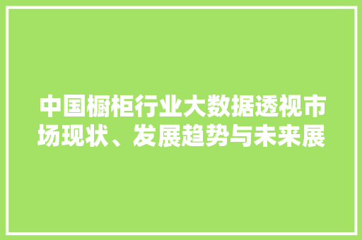 中国橱柜行业大数据透视市场现状、发展趋势与未来展望