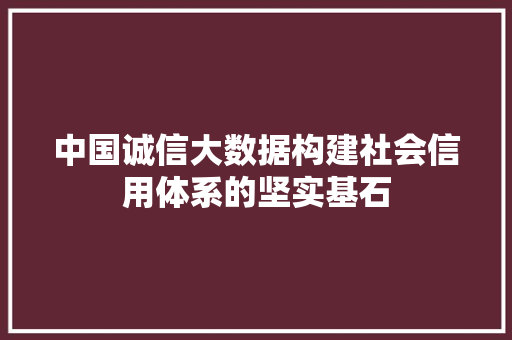 中国诚信大数据构建社会信用体系的坚实基石