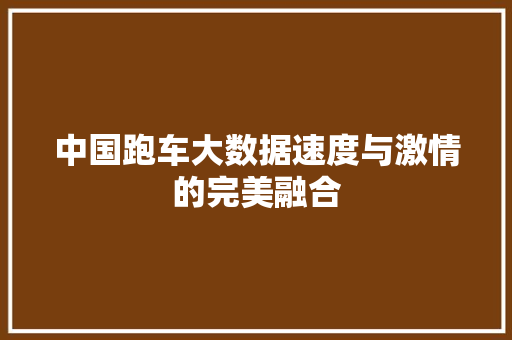 中国跑车大数据速度与激情的完美融合