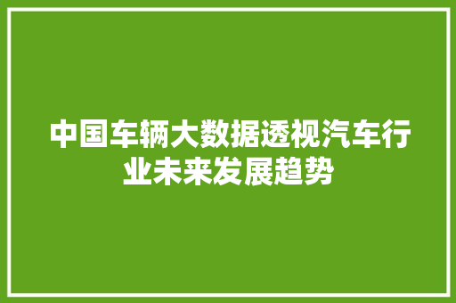 中国车辆大数据透视汽车行业未来发展趋势