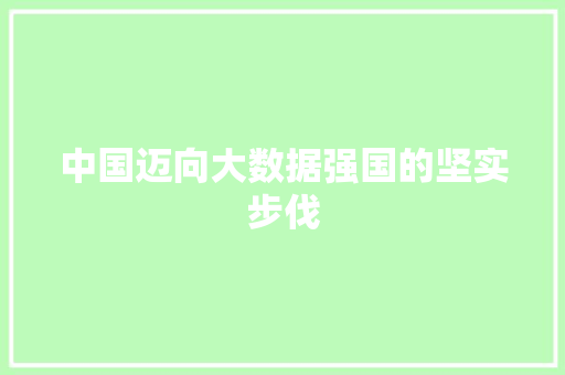 中国迈向大数据强国的坚实步伐