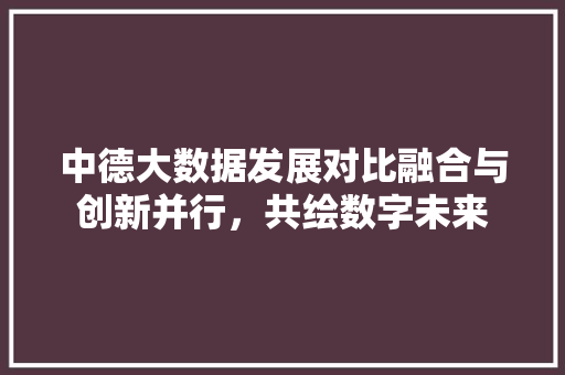 中德大数据发展对比融合与创新并行，共绘数字未来