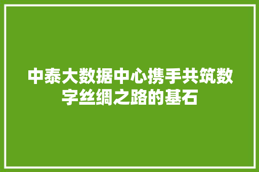 中泰大数据中心携手共筑数字丝绸之路的基石 电脑基础