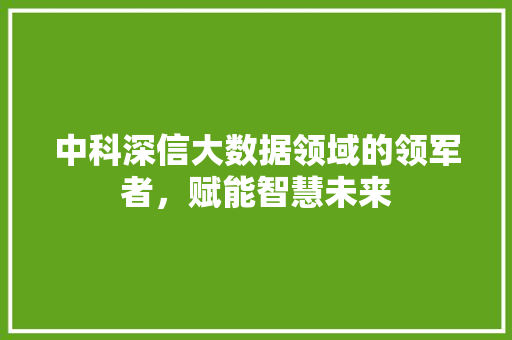 中科深信大数据领域的领军者，赋能智慧未来
