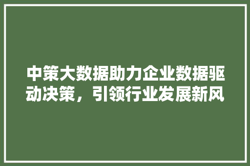 中策大数据助力企业数据驱动决策，引领行业发展新风向