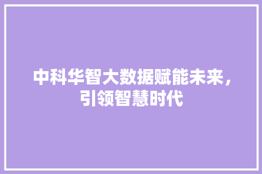 中科华智大数据赋能未来，引领智慧时代