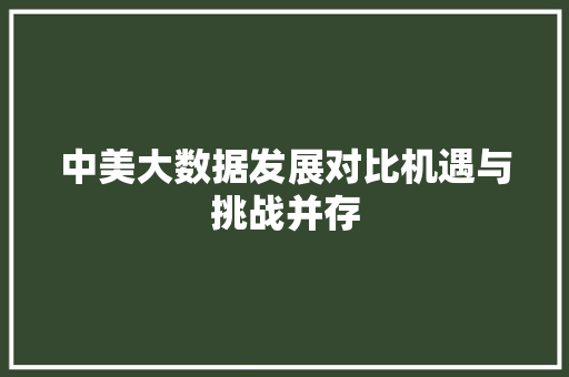 中美大数据发展对比机遇与挑战并存