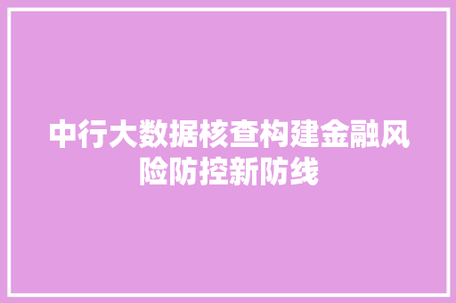 中行大数据核查构建金融风险防控新防线