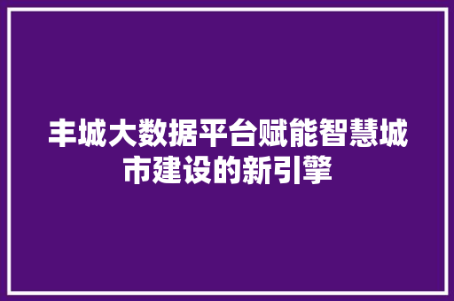 丰城大数据平台赋能智慧城市建设的新引擎