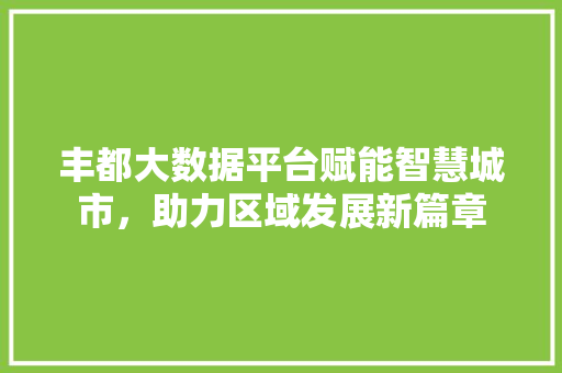 丰都大数据平台赋能智慧城市，助力区域发展新篇章 操作系统