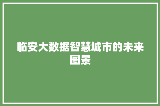 临安大数据智慧城市的未来图景 电脑配置