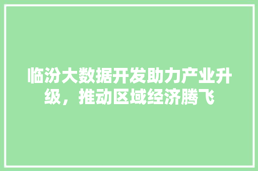临汾大数据开发助力产业升级，推动区域经济腾飞