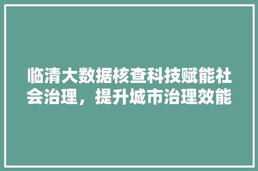临清大数据核查科技赋能社会治理，提升城市治理效能 电脑配置