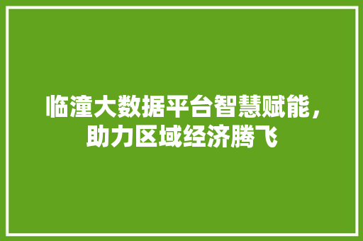 临潼大数据平台智慧赋能，助力区域经济腾飞 电脑基础