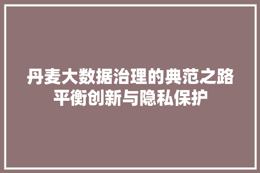 丹麦大数据治理的典范之路平衡创新与隐私保护