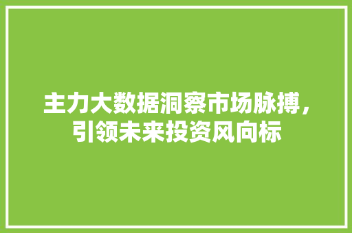 主力大数据洞察市场脉搏，引领未来投资风向标