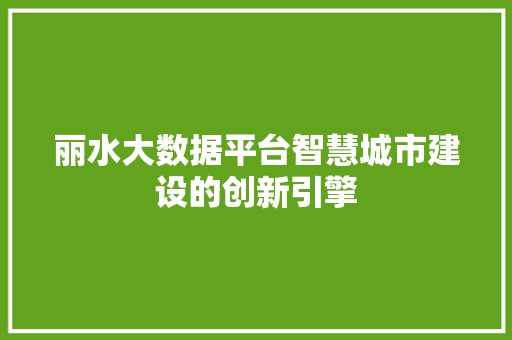丽水大数据平台智慧城市建设的创新引擎