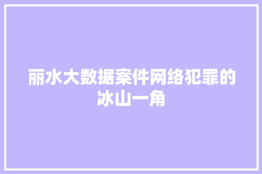 丽水大数据案件网络犯罪的冰山一角