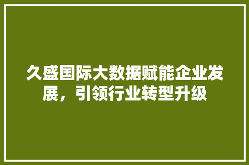 久盛国际大数据赋能企业发展，引领行业转型升级