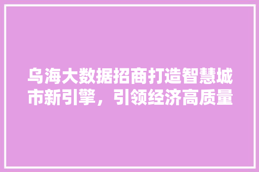 乌海大数据招商打造智慧城市新引擎，引领经济高质量发展