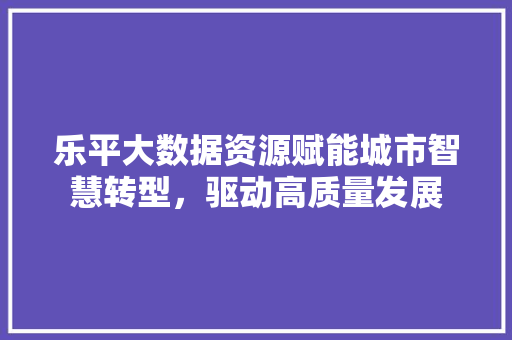 乐平大数据资源赋能城市智慧转型，驱动高质量发展
